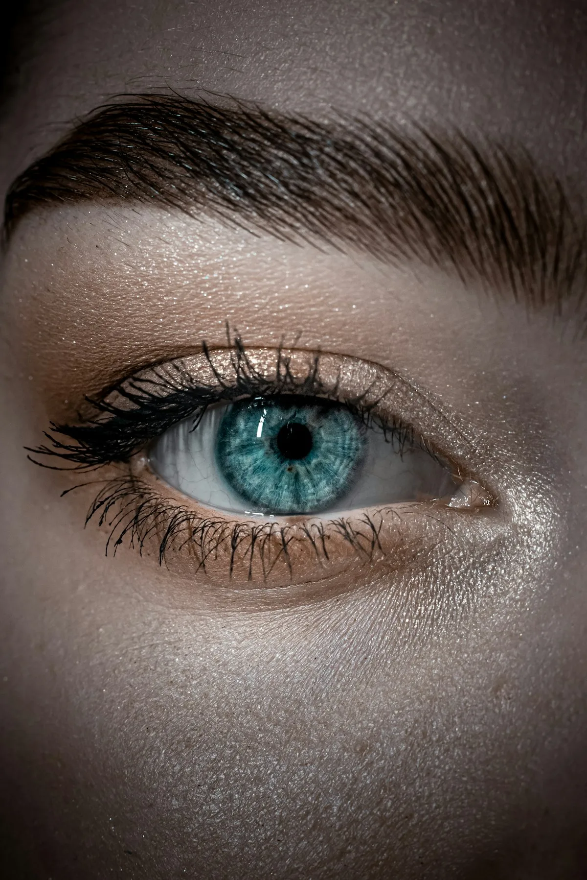 Cejas