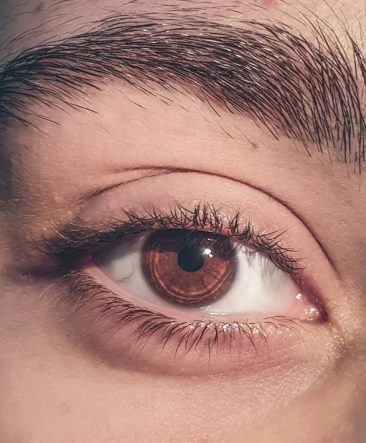 Cejas — imagen 2