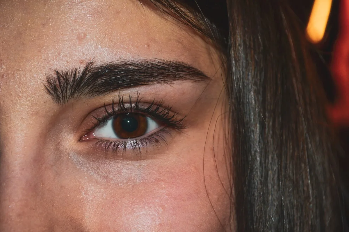 Cejas — imagen 5